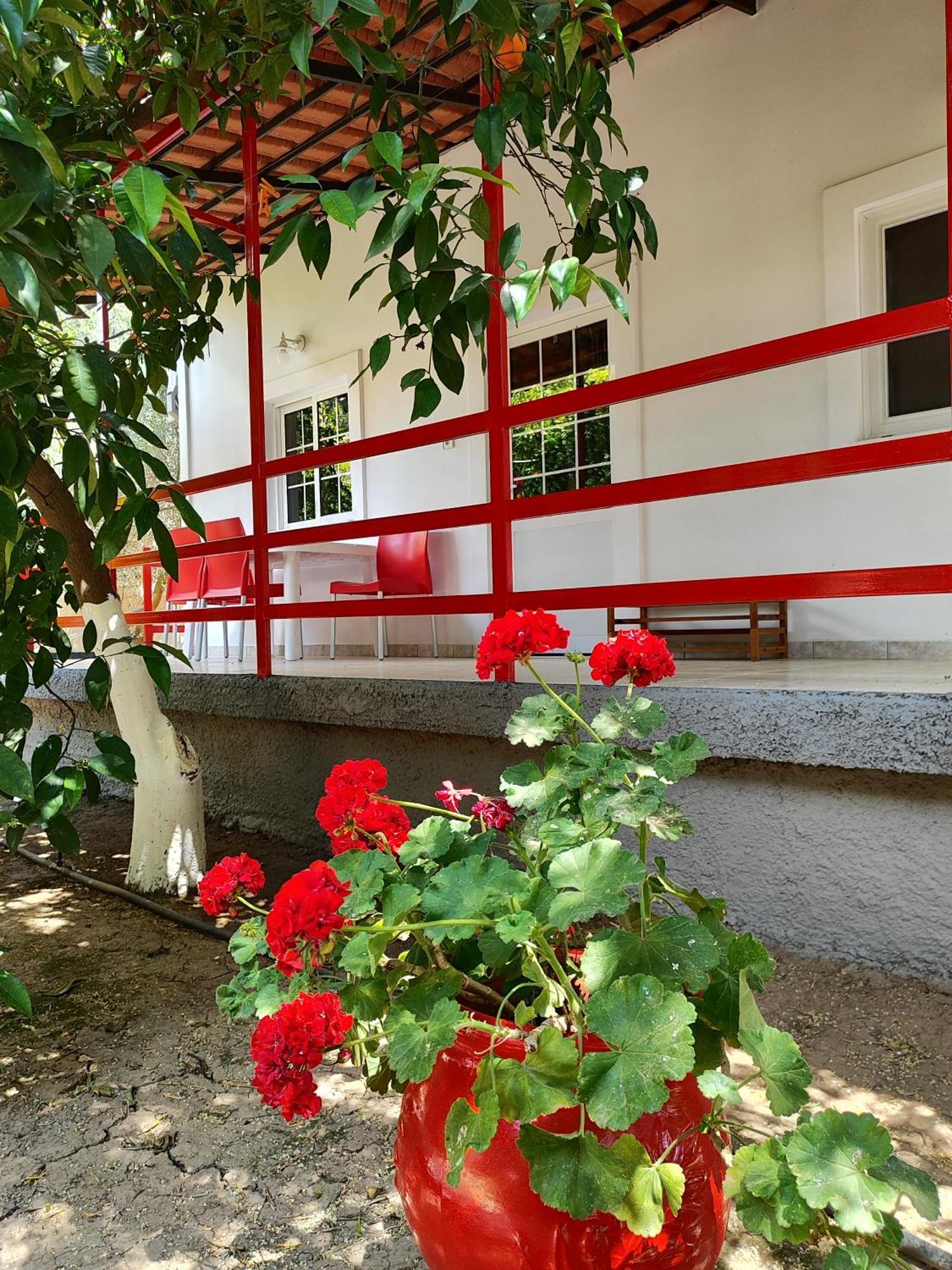 Cottonclub Villas Tolón Exterior photo