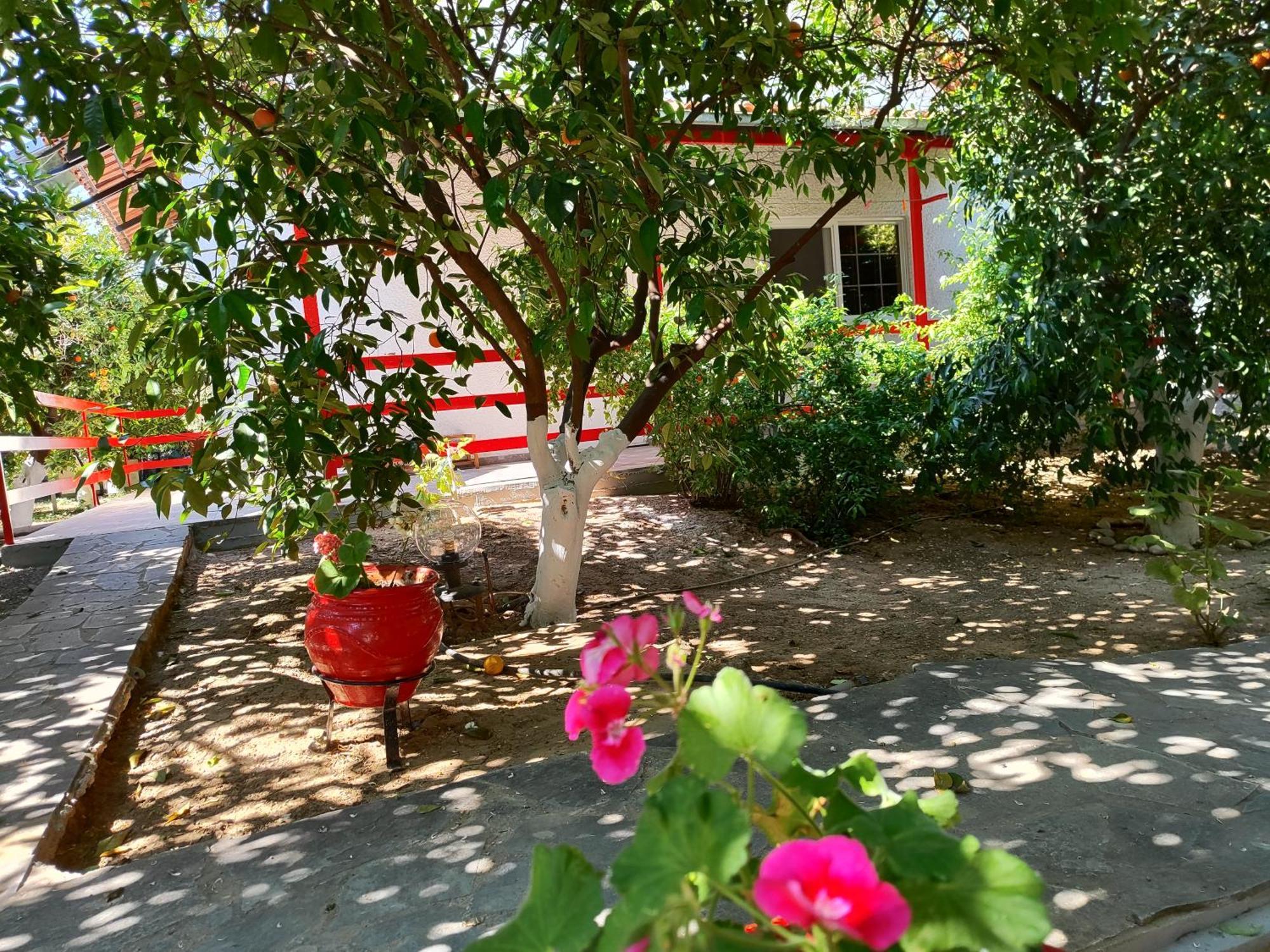 Cottonclub Villas Tolón Exterior photo