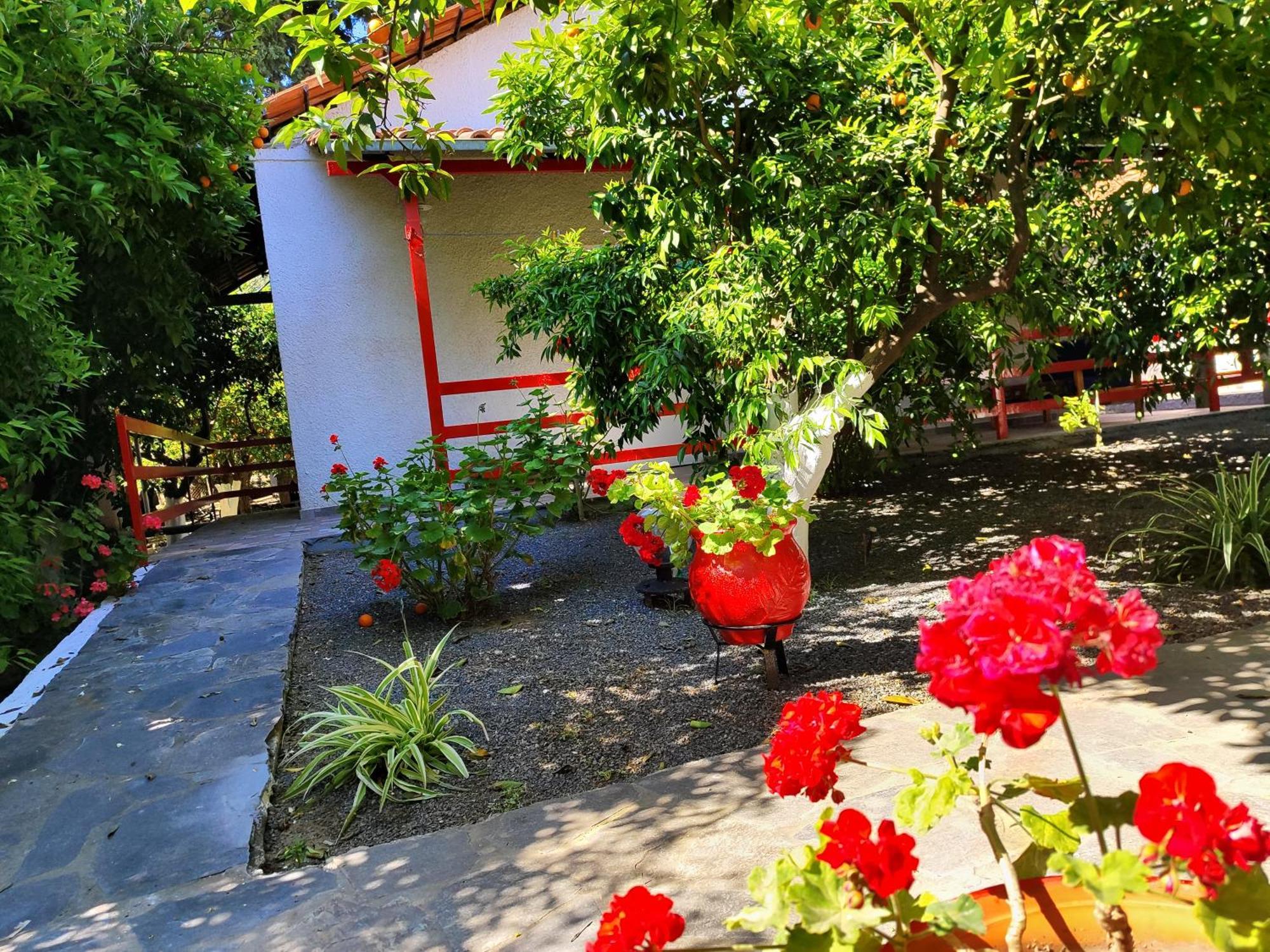 Cottonclub Villas Tolón Exterior photo